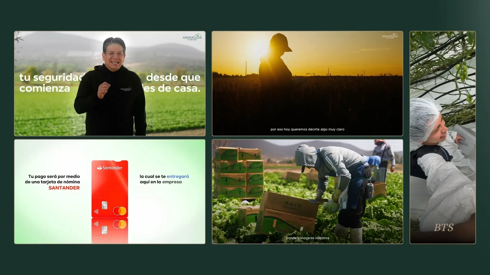 Caso Agrohortalizas