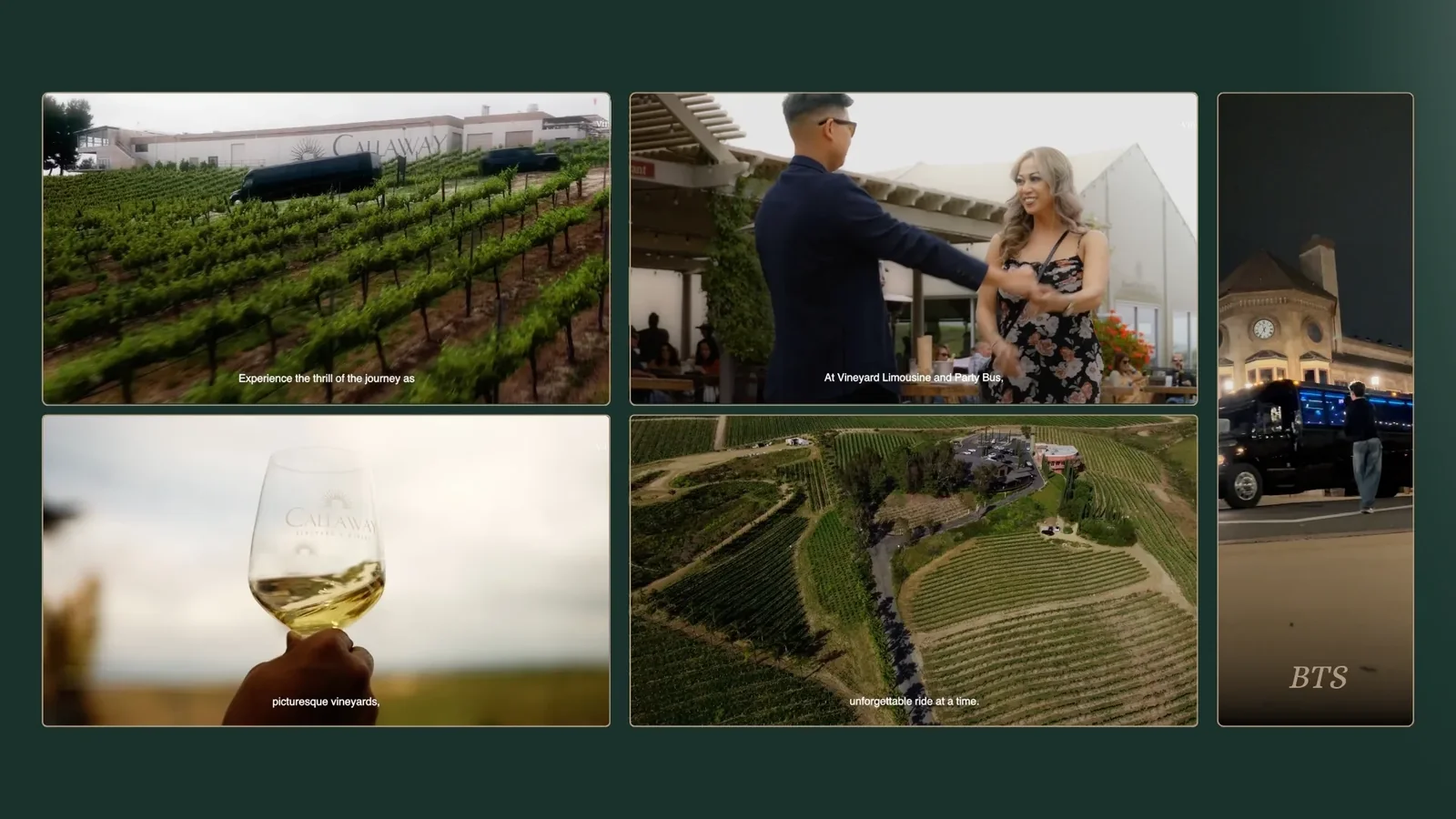 Caso Vineyard
